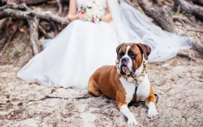 6 rollen die jou hond kan vervullen op je bruiloft