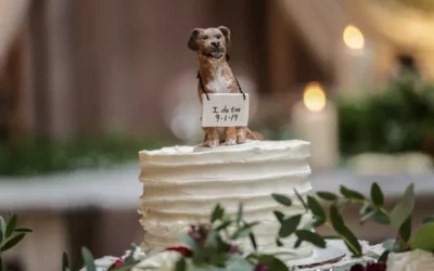 8 ultieme tips om jouw hond op je bruiloft te verwelkomen