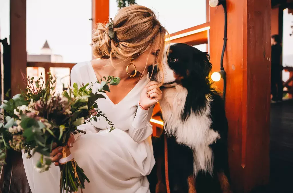 hond bruiloft met bruid