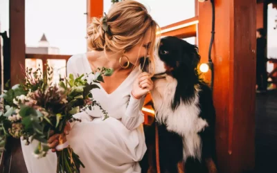 Hoe betrek je jullie hond tijdens de bruiloft?