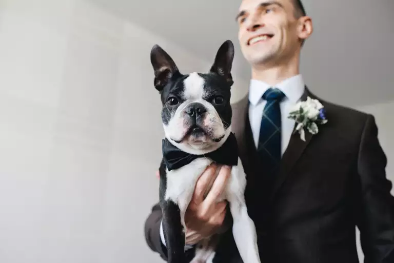hond met bruidegom en strik